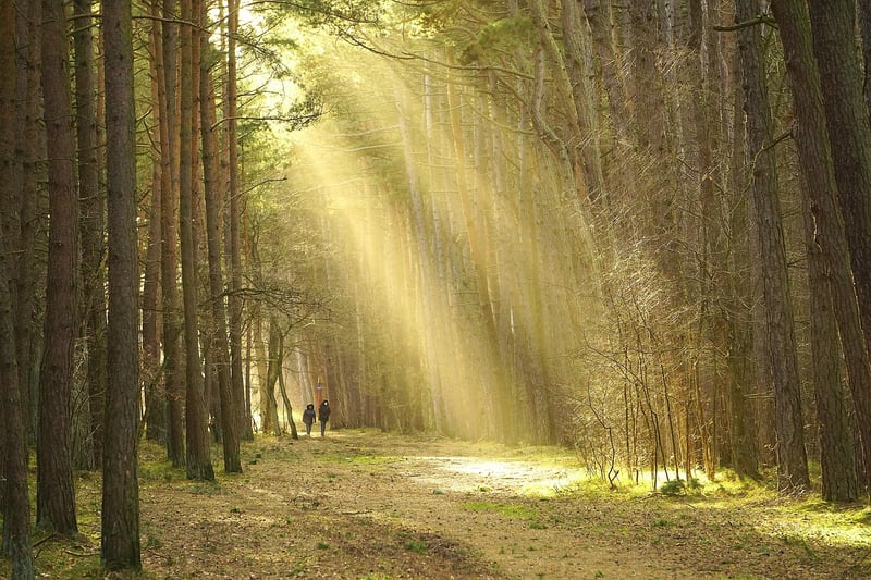 Labyrinth Path